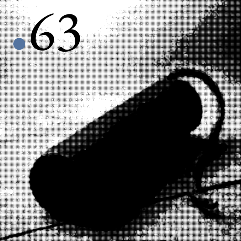 Numero 63