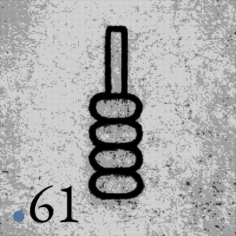 Numero 61